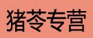 猪苓专营
