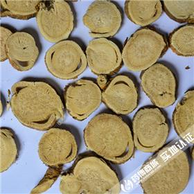 苦参 大圆片 选装 内蒙 质优价廉 清热燥湿 杀虫 利尿