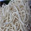 通草 个子 四川大货 清热利尿 通气下乳