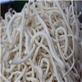 通草 个子 四川大货 清热利尿 通气下乳