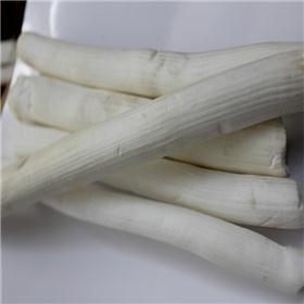 通草 统 个子 四川大货 清热利尿 通气下乳