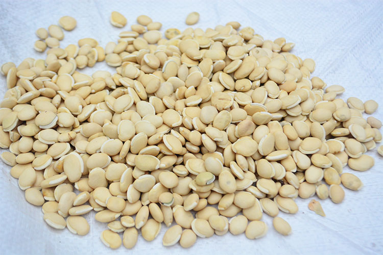 白扁豆 选 大个 云南 大货供应 健脾化湿 和中消暑