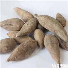 郁金个子（广西）