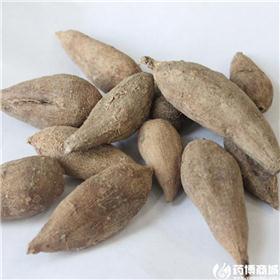 郁金个子（广西）