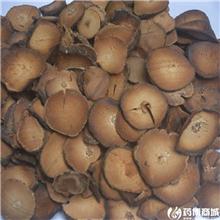 化橘红 圆片 广东