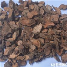 千年健 片子