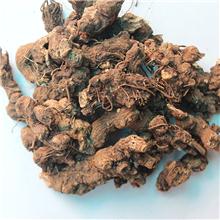 苍术 选  个 东北..