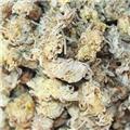 菊花 统 安徽 大货 质优价廉 散风清热 平肝明目