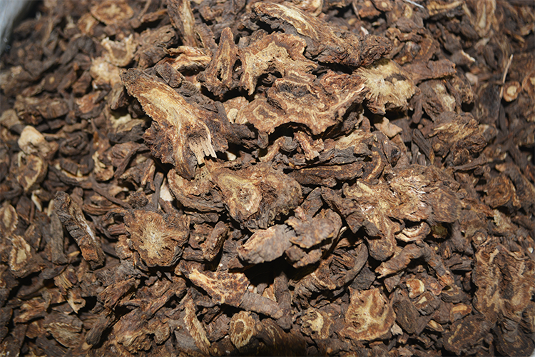 羌活 选 片子 甘肃 质优价廉 散寒 祛风 除湿 止痛