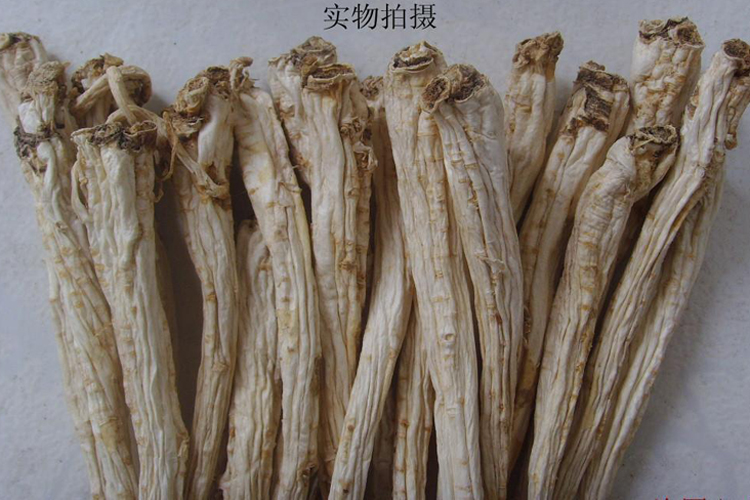 桔梗 内蒙大货 各种规格 宣肺利咽 祛痰排脓 药博商城 桔梗 内蒙大货 各种规格 宣肺利咽 祛痰排脓 药博商城