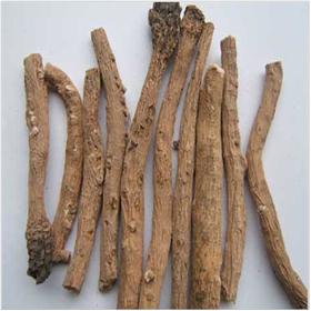 板蓝根 内蒙赤峰 大货 清热解毒 凉血消肿 利咽