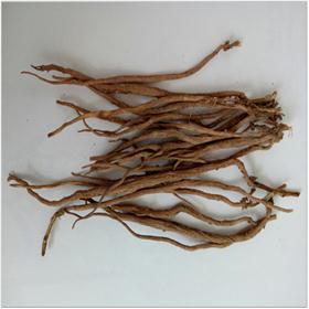 牛膝 内蒙大货 质优价廉  散瘀血,消痈肿