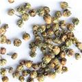 胎菊 大货供应 质优价廉 散风清热 平肝明目