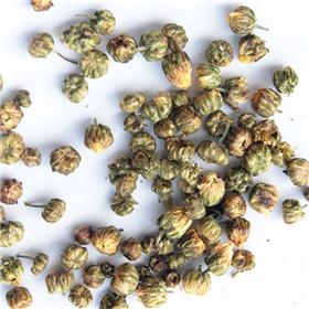 胎菊 大货供应 质优价廉 散风清热 平肝明目
