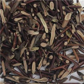 皂刺  （中）河南 大货 质优价廉 消肿排脓 消毒透脓
