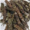 夏枯球 河南 统货 质优价廉 清火明目 散结消肿