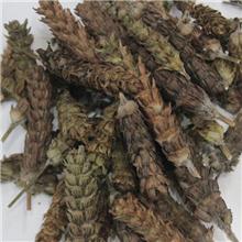 夏枯球 河南 统货 ..