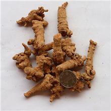 三七 大货 质优价廉..