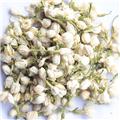 茉莉花 质优价廉 理气止痛 辟秽开郁