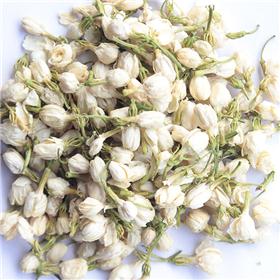 茉莉花 质优价廉 理气止痛 辟秽开郁