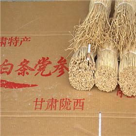白条党参小有硫（甘肃）原产地
