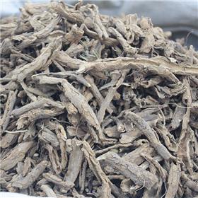 地骨皮（陕西）过0.2号电筛质优价廉 凉血除蒸 清肺降火
