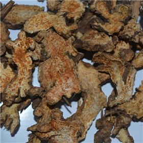 苍术 内蒙 片子 选装 规格齐全  大货供应  