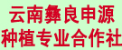 云南彝良申源种植专业合作社
