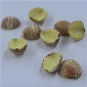 红莲子（湖南）质优 补脾止泻 养心益肾