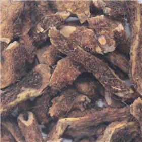 骨碎补 统 甘肃 补肾强骨 续伤止痛