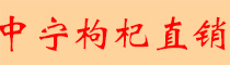 中宁枸杞直销