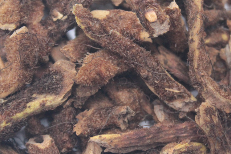 骨碎补 大货  质优价廉 补肾强骨 续伤止痛 药博商城