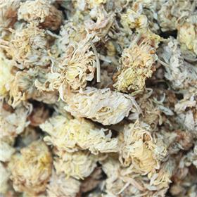 菊花 大货 物美价廉 散风清热 平肝明目