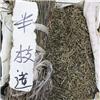 半枝莲 质优 大货供应 清热解毒 化瘀利尿