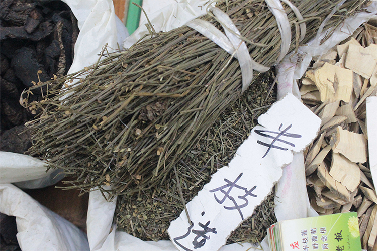 半枝莲 质优 大货供应 清热解毒 化瘀利尿 药博商城