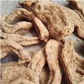 天麻 原产地大货  量大从优 个子