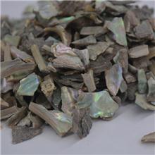 石决明（山东）大货 ..