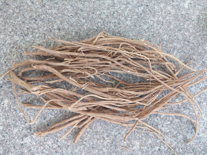 内蒙古种植基地 黄芪