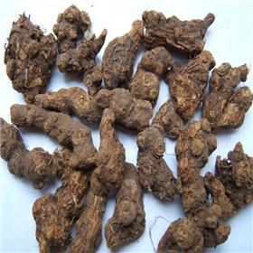 苍术 质优价廉 大货供应 燥湿健脾 祛风湿 明目