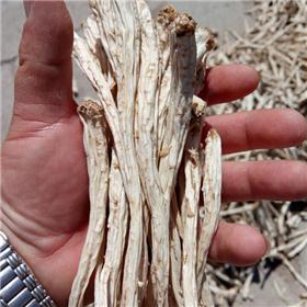 产地供应内蒙古优质桔梗 各种规格桔梗 内蒙古种植基地供应