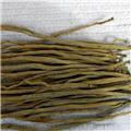 批发供应牛膝 牛夕 内蒙古种植基地 补肝肾 强筋骨
