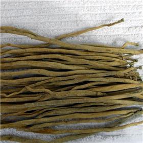 批发供应牛膝 牛夕 内蒙古种植基地 补肝肾 强筋骨