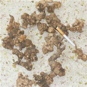 苍术 质优价廉 大货供应 燥湿健脾 祛风湿 明目