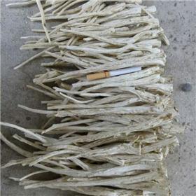 桔梗 原产大货  质优价廉 宣肺利咽 祛痰排脓