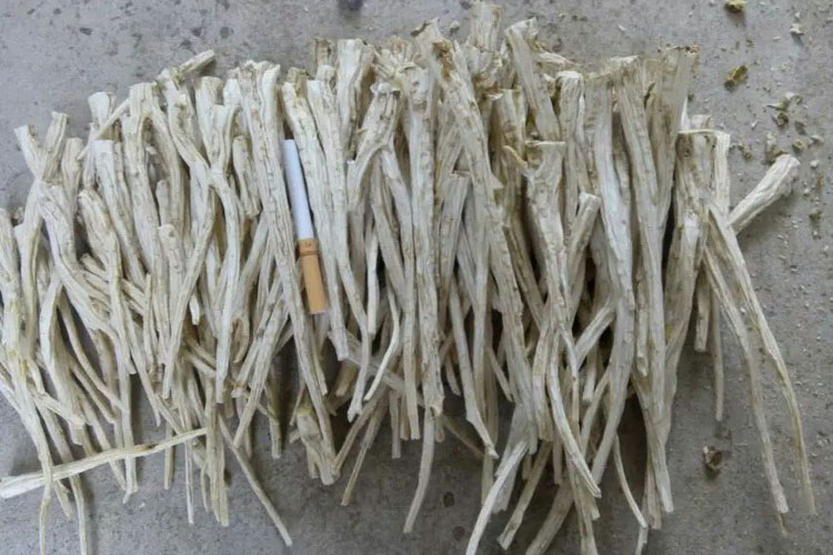 桔梗 原产大货  质优价廉 宣肺利咽 祛痰排脓 药博商城