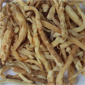 明党参 小节 四川  大货 润肺化痰 养阴和胃