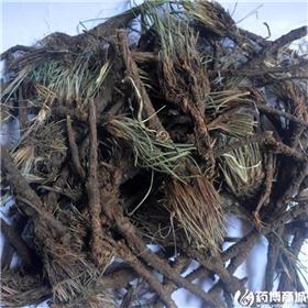 柴胡 内蒙 大统