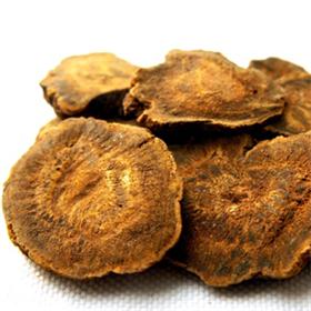 大黄  规格齐全  量大从优