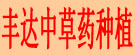 丰达中草药种植专业合作社