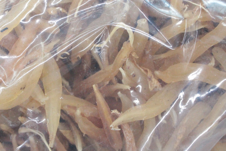 天冬（家种）统 广西 质优 养阴润燥 清肺生津 药博商城
